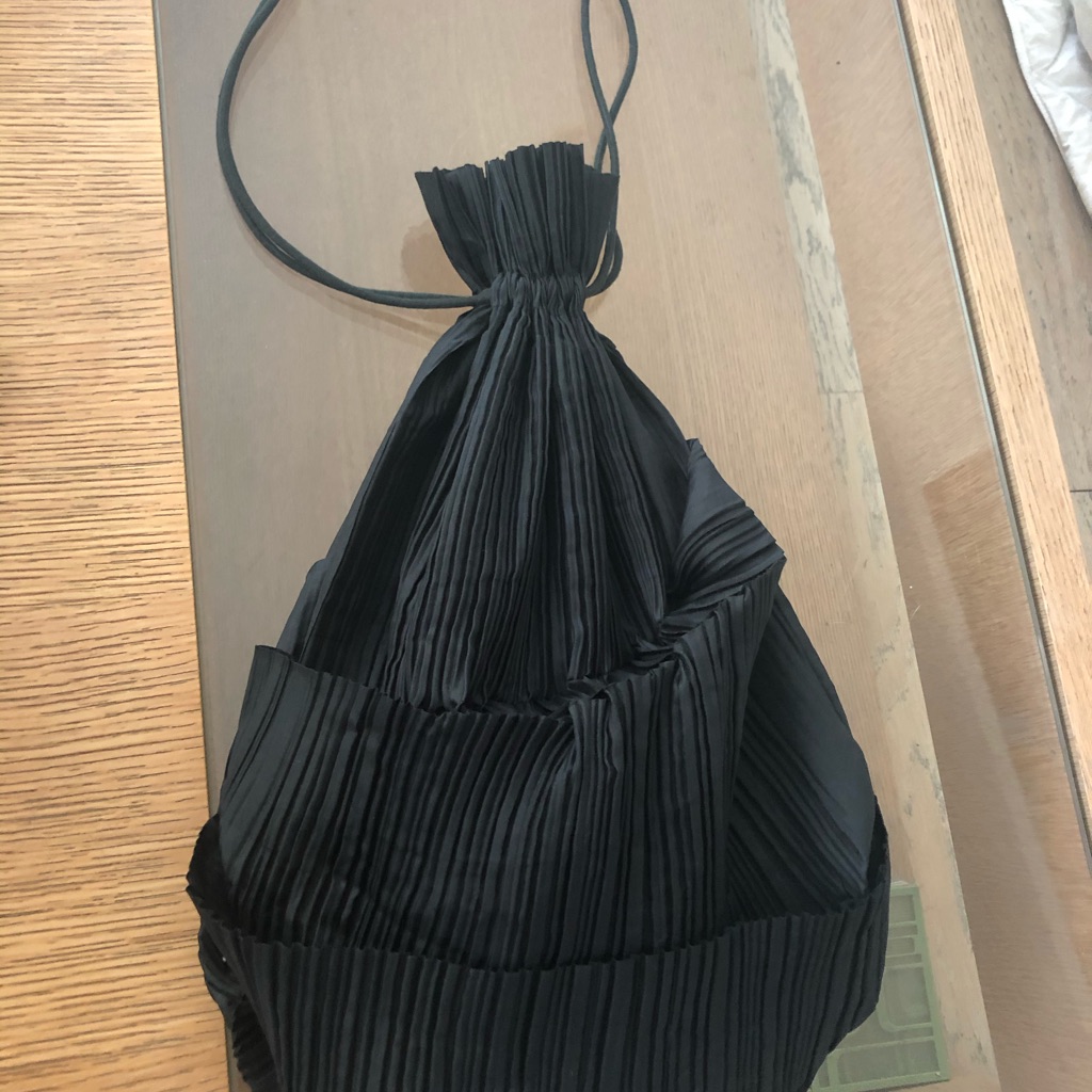 Issey Miyake Pleated Bag Issey Miyake Pleated Bag